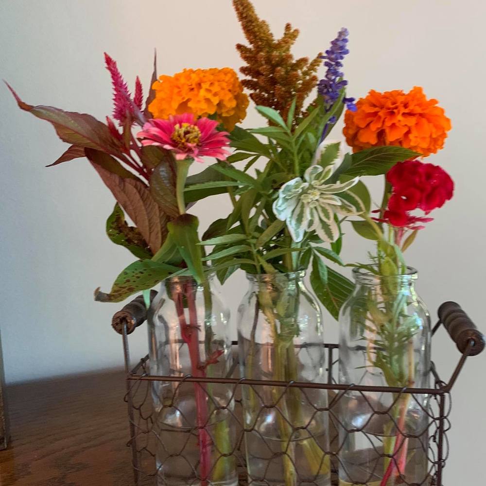 Meet your Posher, Nancy